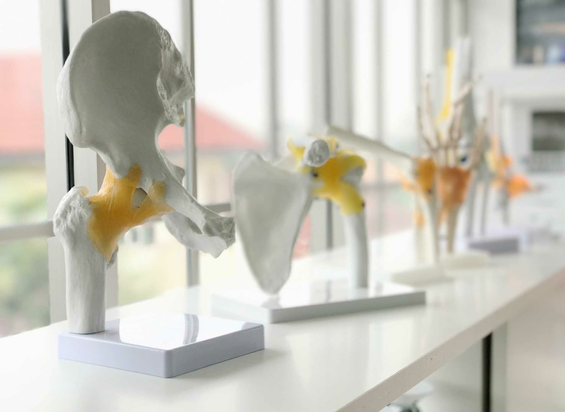 Webinar: Laser Therapy for Ligaments and Tendons